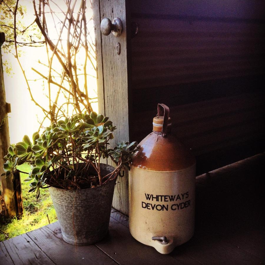 The Potters Garden B&B Rye Eksteriør billede